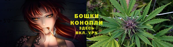 гашишное масло Богданович