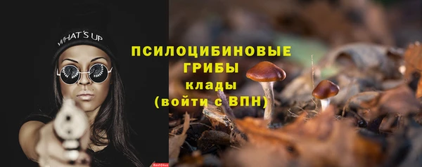 марихуана Белокуриха