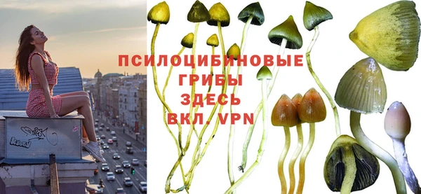 трава Богородицк