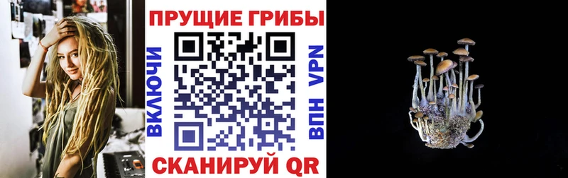 Купить  Приморск  Галлюциногенные грибы ЛСД 